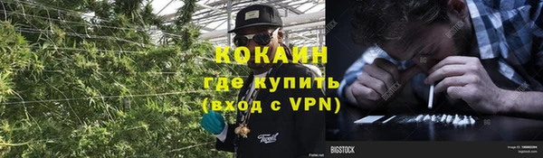 МДПВ Горно-Алтайск